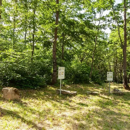 Feriehus Villaggio Anemone Scoiattolo Capanne di Sillano